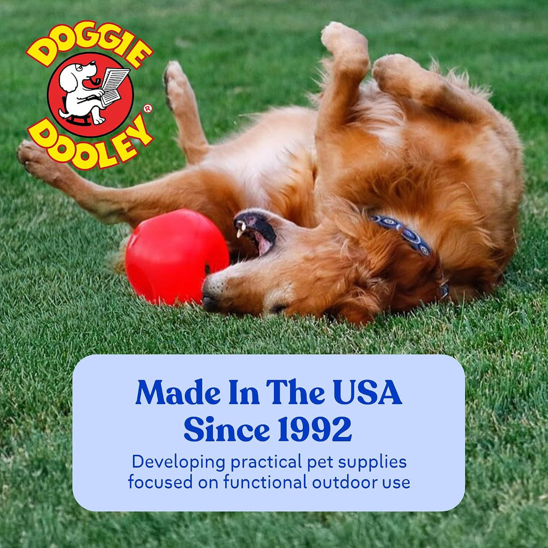 Doggie Dooley Virtually Indestructible Dog Ball - 10 Inch