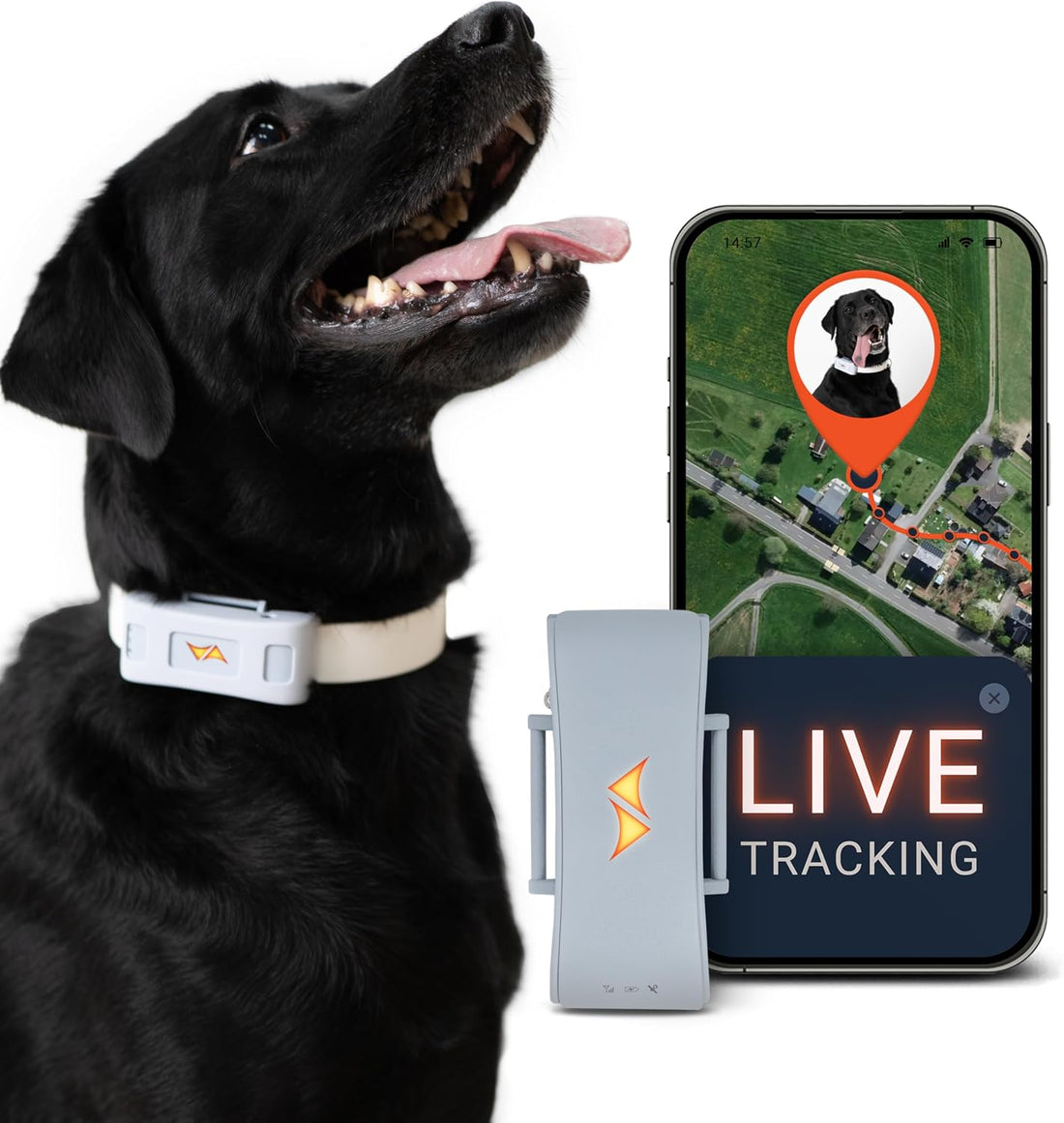 PAJ Dog GPS Tracker 3-Month Subscription Included