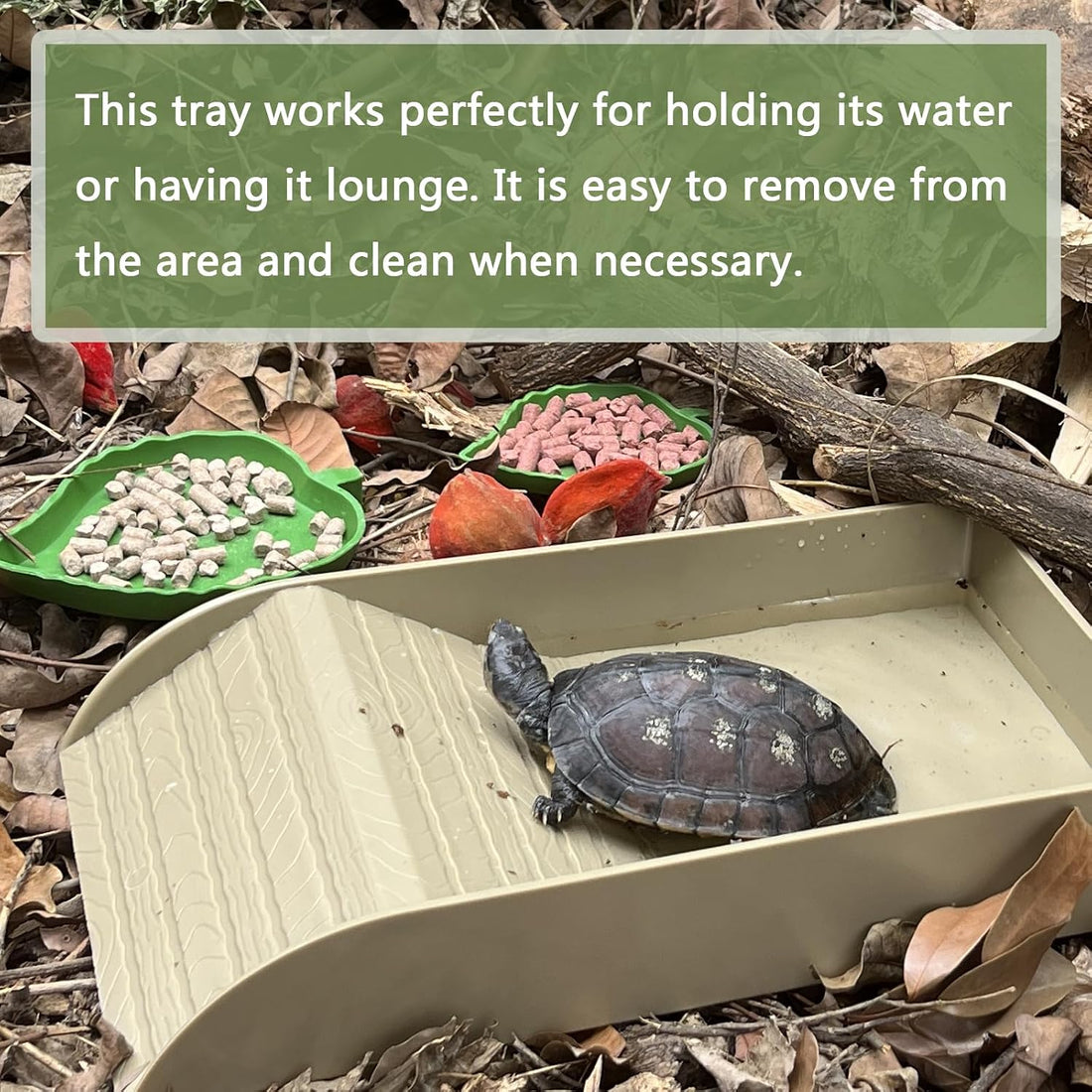 NGORAY Tortoise Feeding Dish with Ramp and Basking-Platform