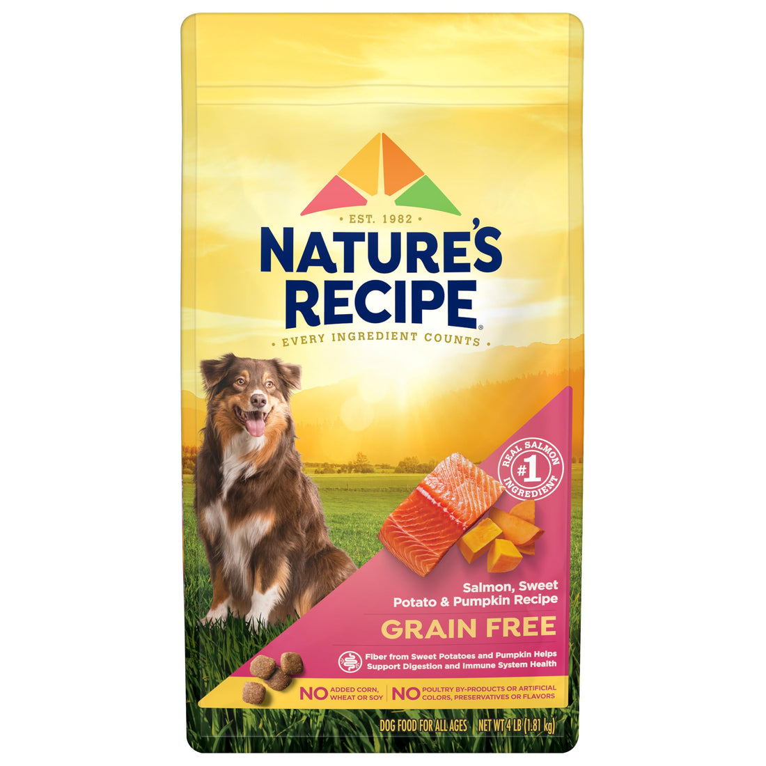 Nature's Recipe Grain Free Dry Dog Food, Salmon