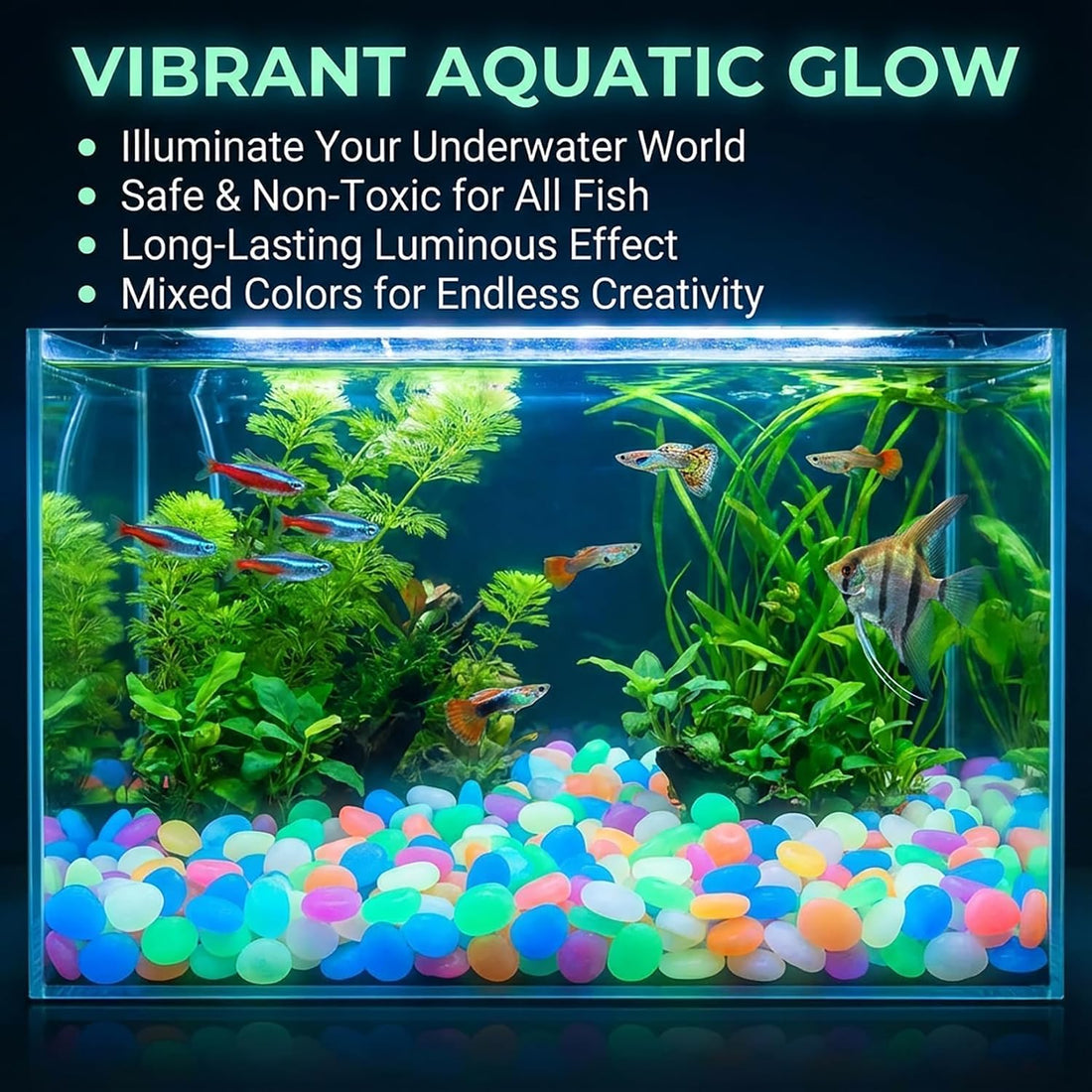 Sukh 200 PCS Luminous Stones Rocks