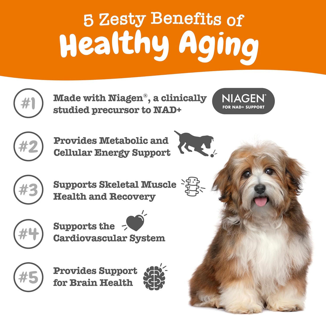 Zesty Paws NAD+ Senior Dog Supplement - Healthy Aging, 60 Capsules