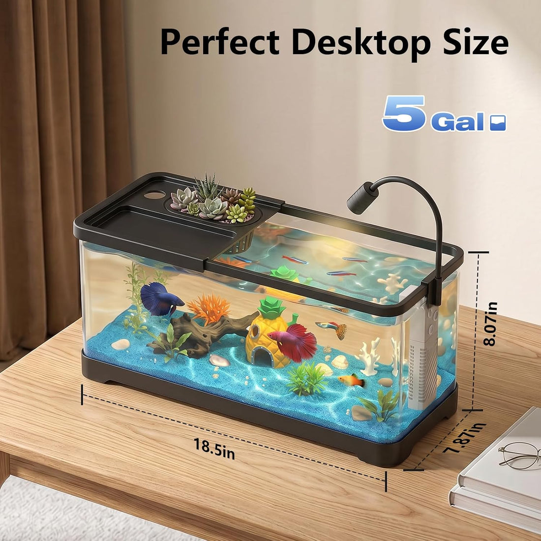 5 Gallon Fish Tank Aquarium Starter Kit with Filter and Light