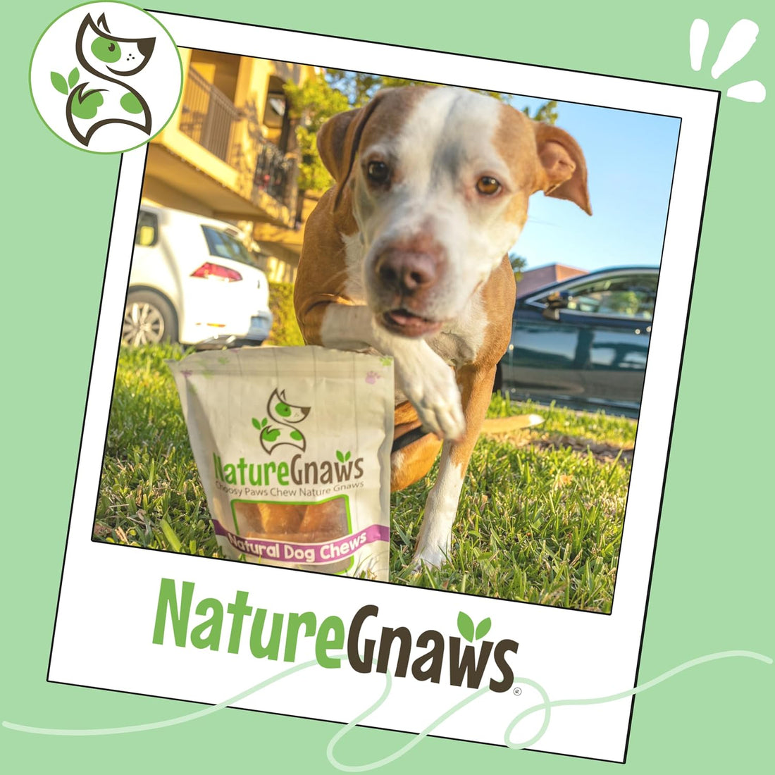 Nature Gnaws Beef Paddywack Tendons 5-6" Dog Chews, 5 Count