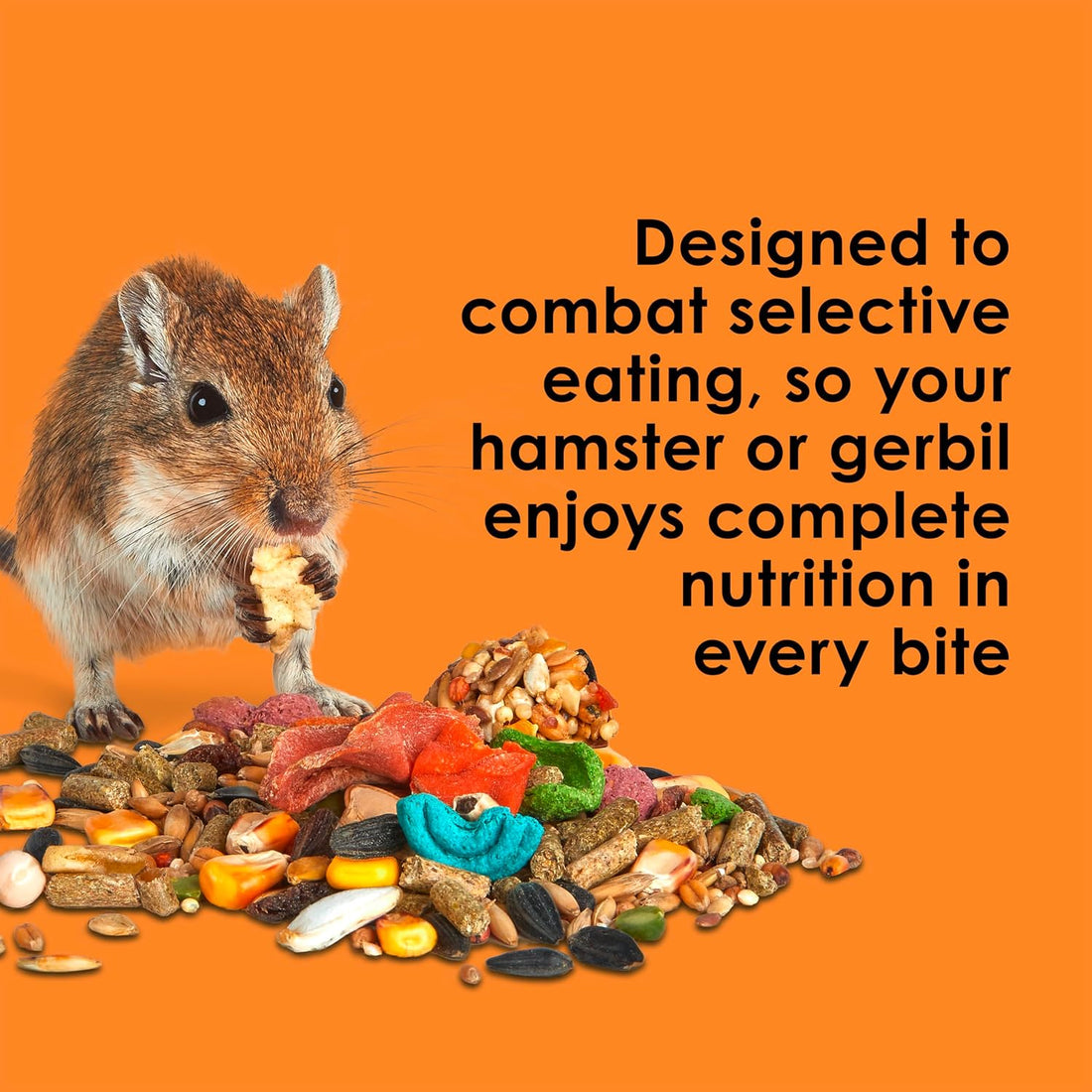Kaytee Fiesta Hamster & Gerbil Food, Nutritious and Fun Blend