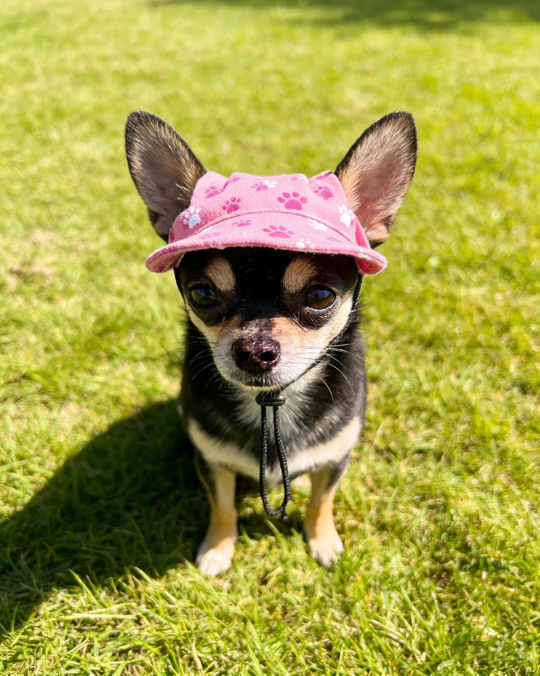 PET SHOW Paw Print Dog Baseball Cap Dog Visors for Small Doggy Cats