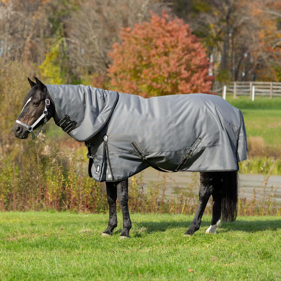 Equinavia Arktis Regular Neck Turnout Sheet - Carbon Gray - 78 in