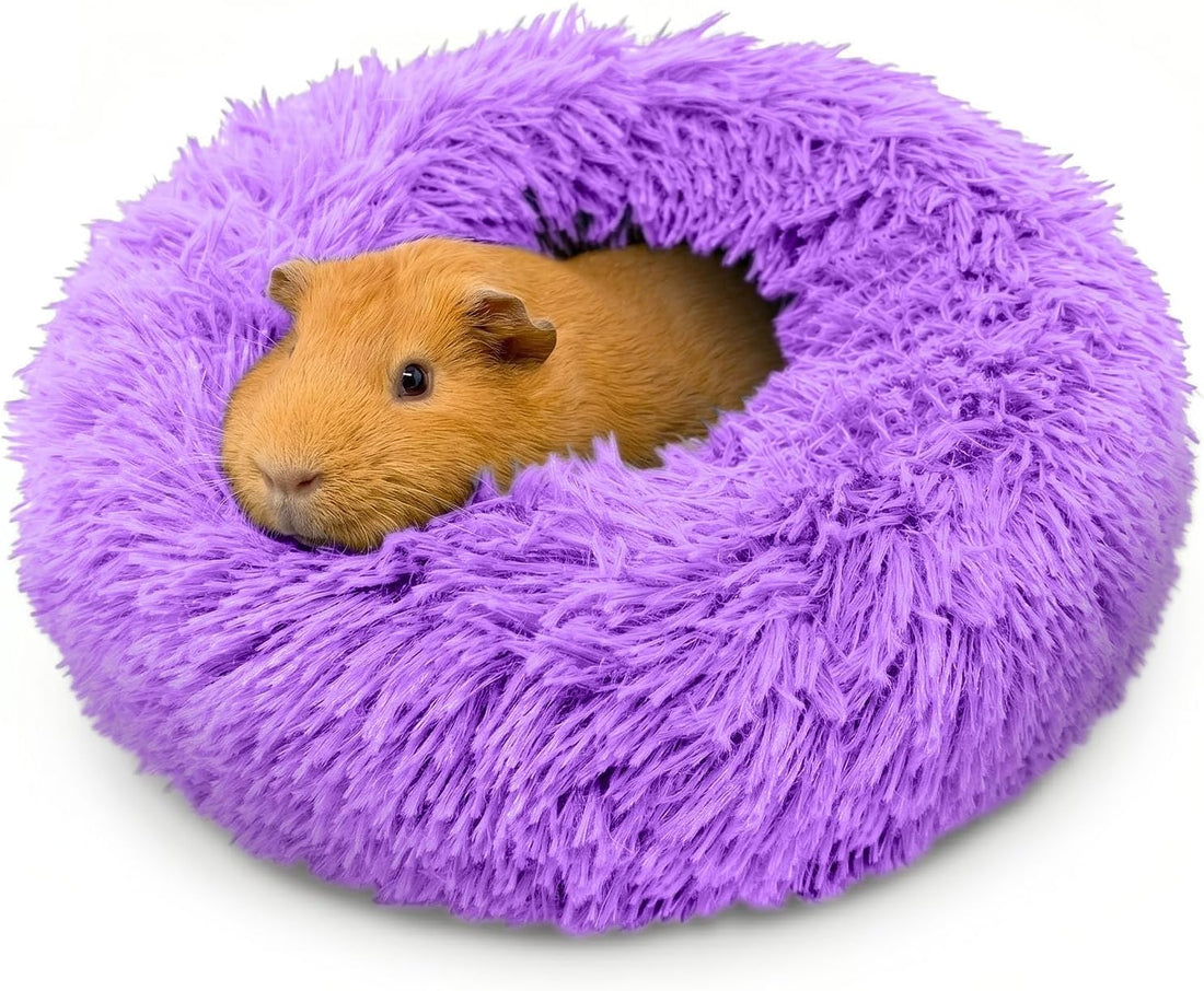 Paw Inspired Furr-O Burrowing Pet Bed Enrichment, Removable Base