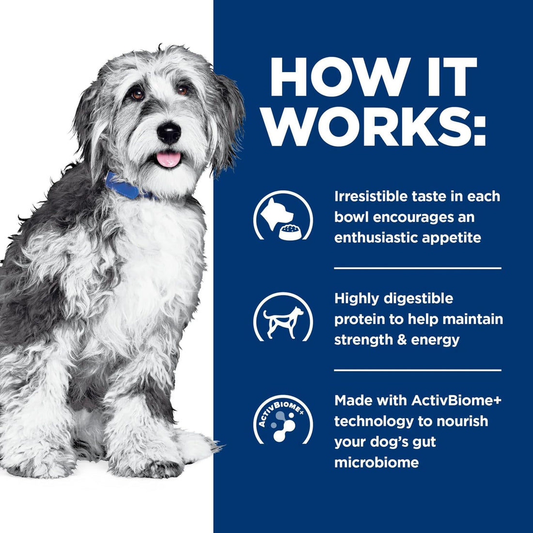 Hill's Prescription Diet ONC Care Wet Dog Food