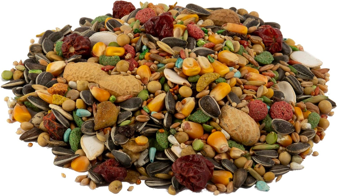 Wild Harvest Advanced Nutrition Parrot Food, 8 lbs