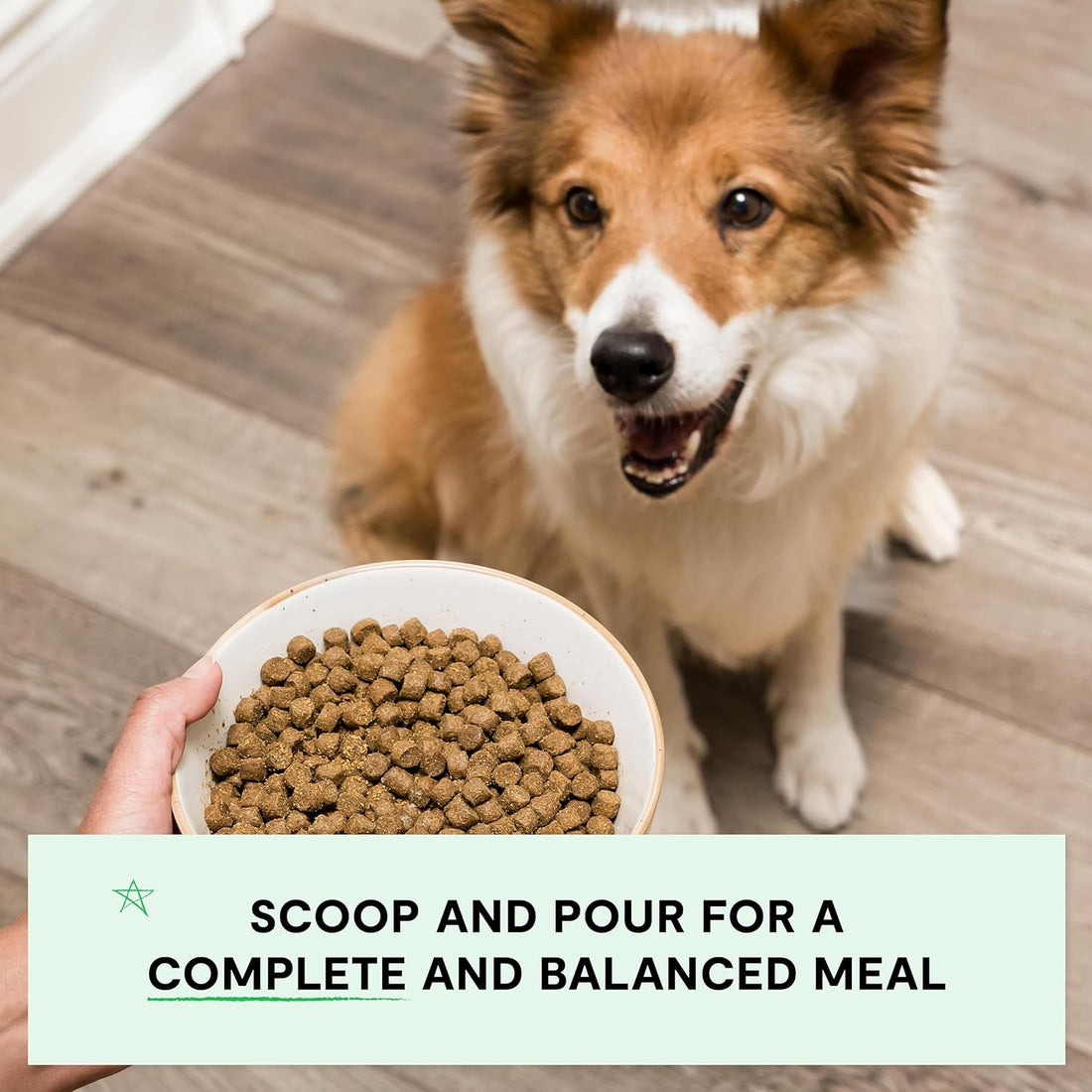 Open Farm Grain Free Dry Dog Food, Grass-Fed Beef Kibble, 22lb Bag