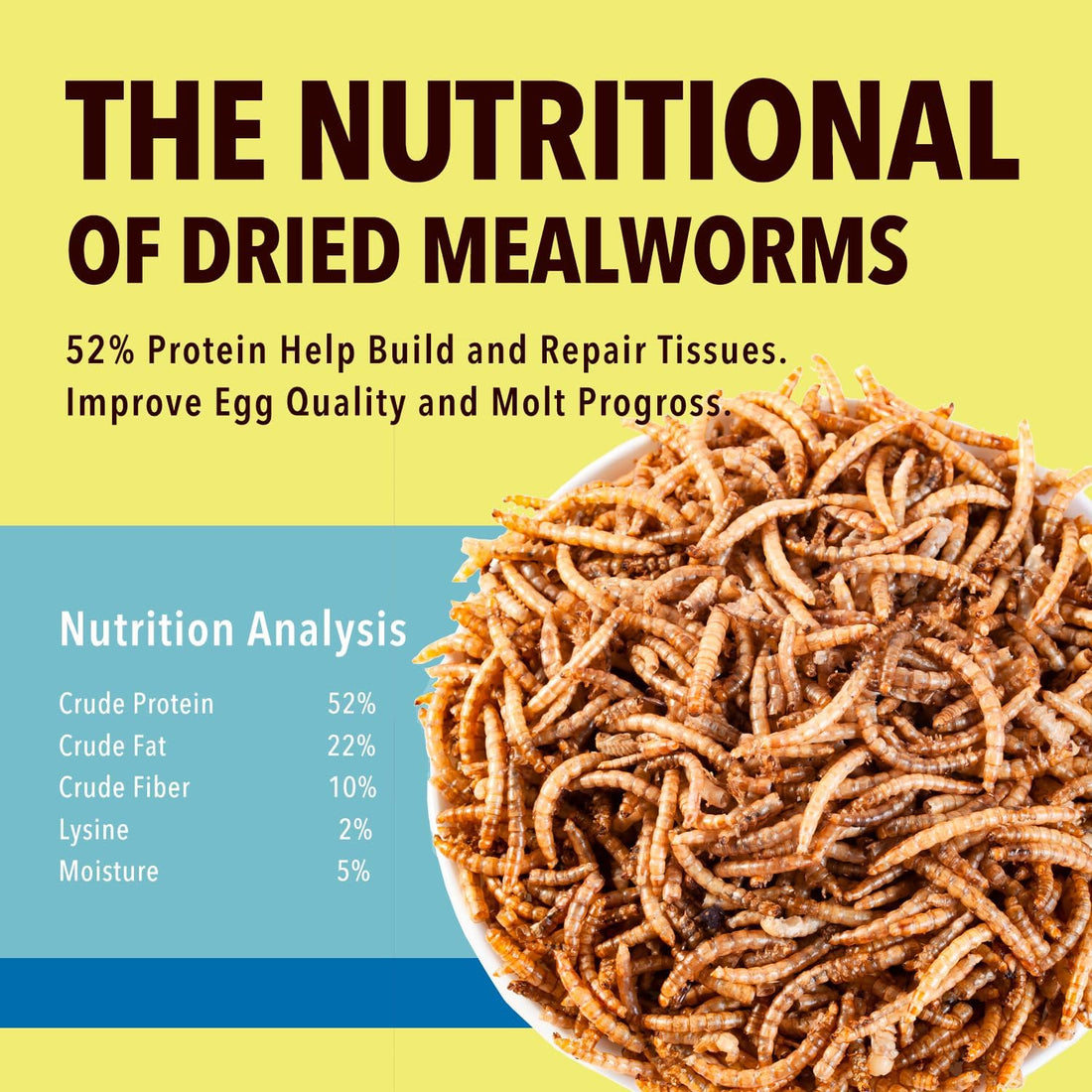WormsFarm 5lb Dried Mealworms for Chickens Treats for Laying