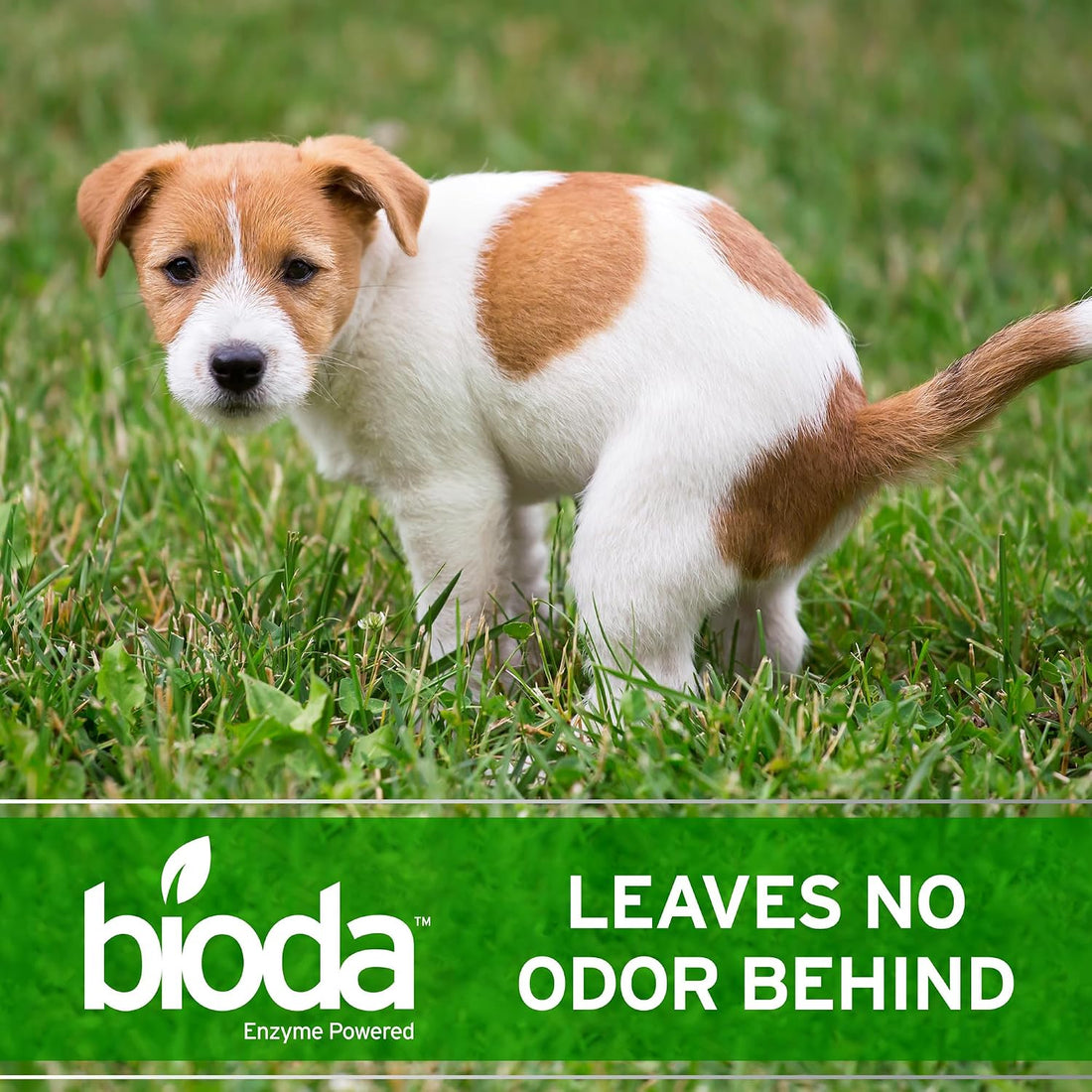 Bioda Probiotic Natural Outdoor Odor Eliminator, 1 gal Refill, Enzyme