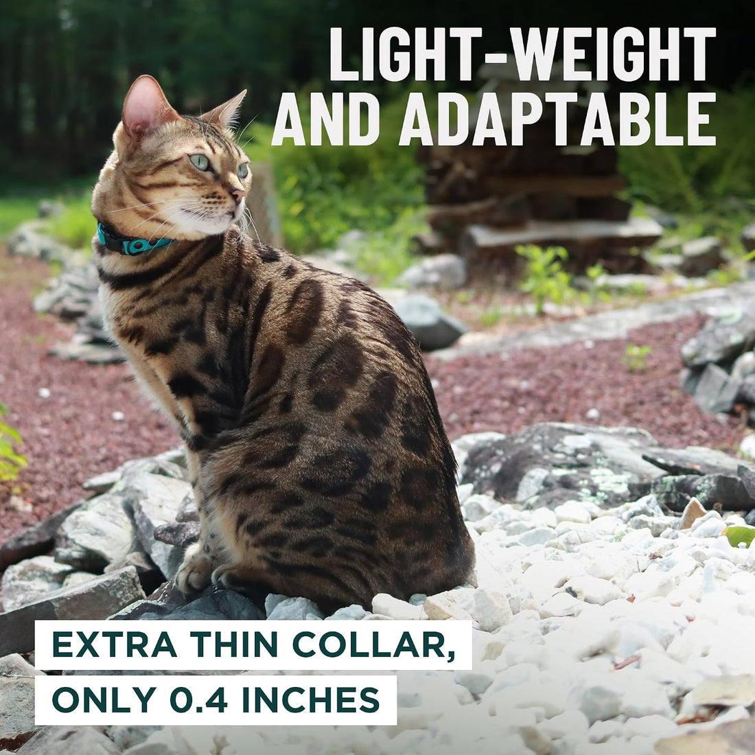 OutdoorBengal Durable Breakaway Cat Collar, No Bell (Blue, M/L)