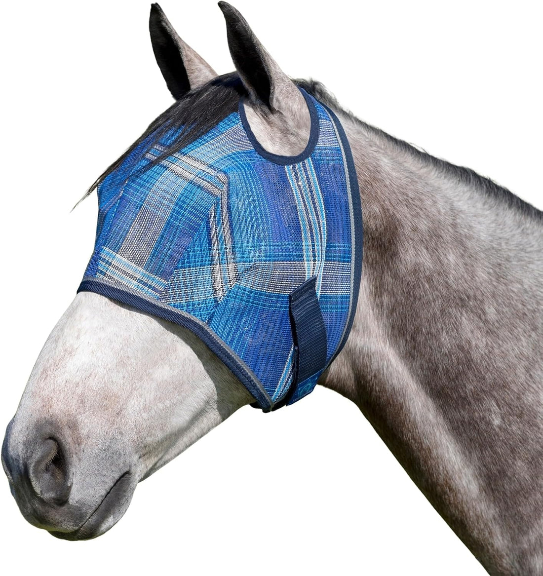 Kensington Protective Products Horse Fly MASK with Web Trim, Atlantis
