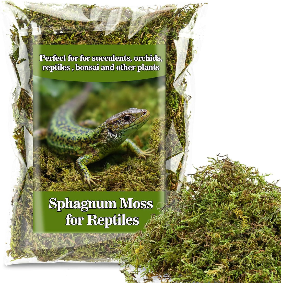 Sukh Sphagnum Moss for Reptiles - Green Terrarium Moss Substrate, 5oz