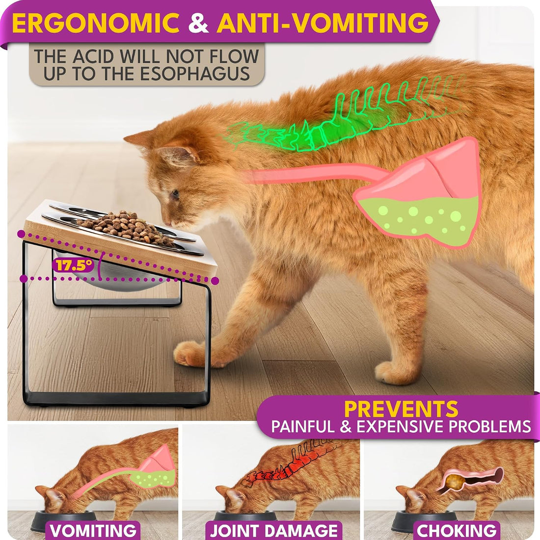 Raised cat Bowls for Indoor Cats by WinTruffles, Elevated cat Bowls
