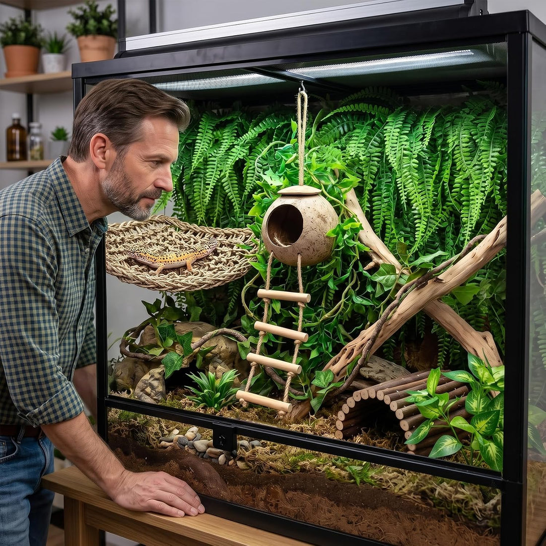 Reptile Plants for Bearded Dragon Tank Accessories