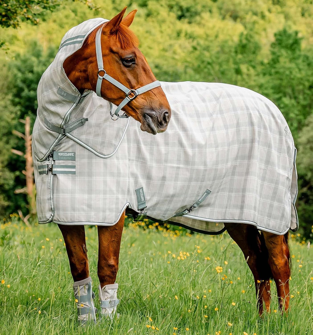 Horseware® Newmarket Exercise Sheet - Witney Pink, L