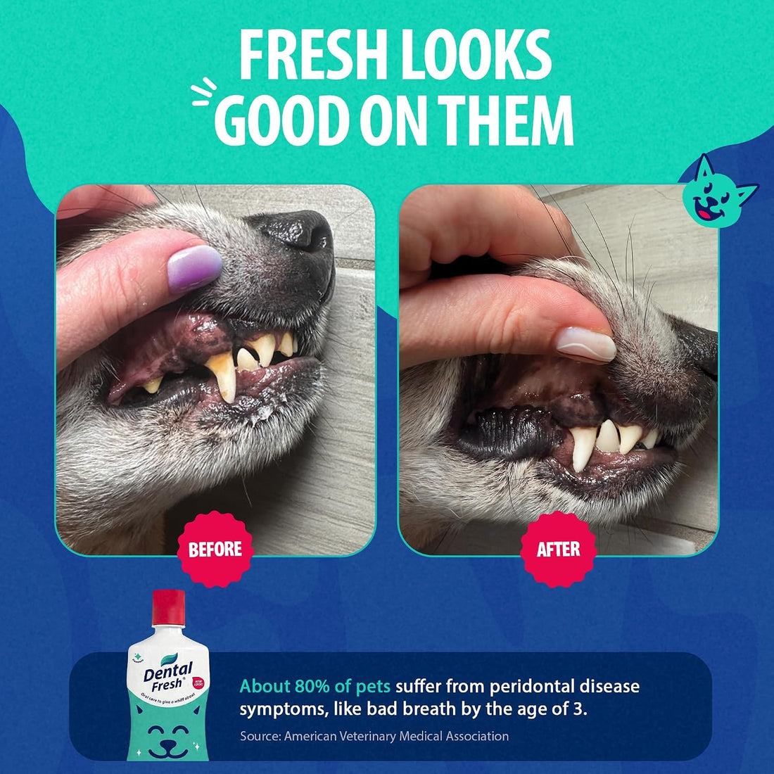 Dental Fresh Water Additive for Dogs and Cats