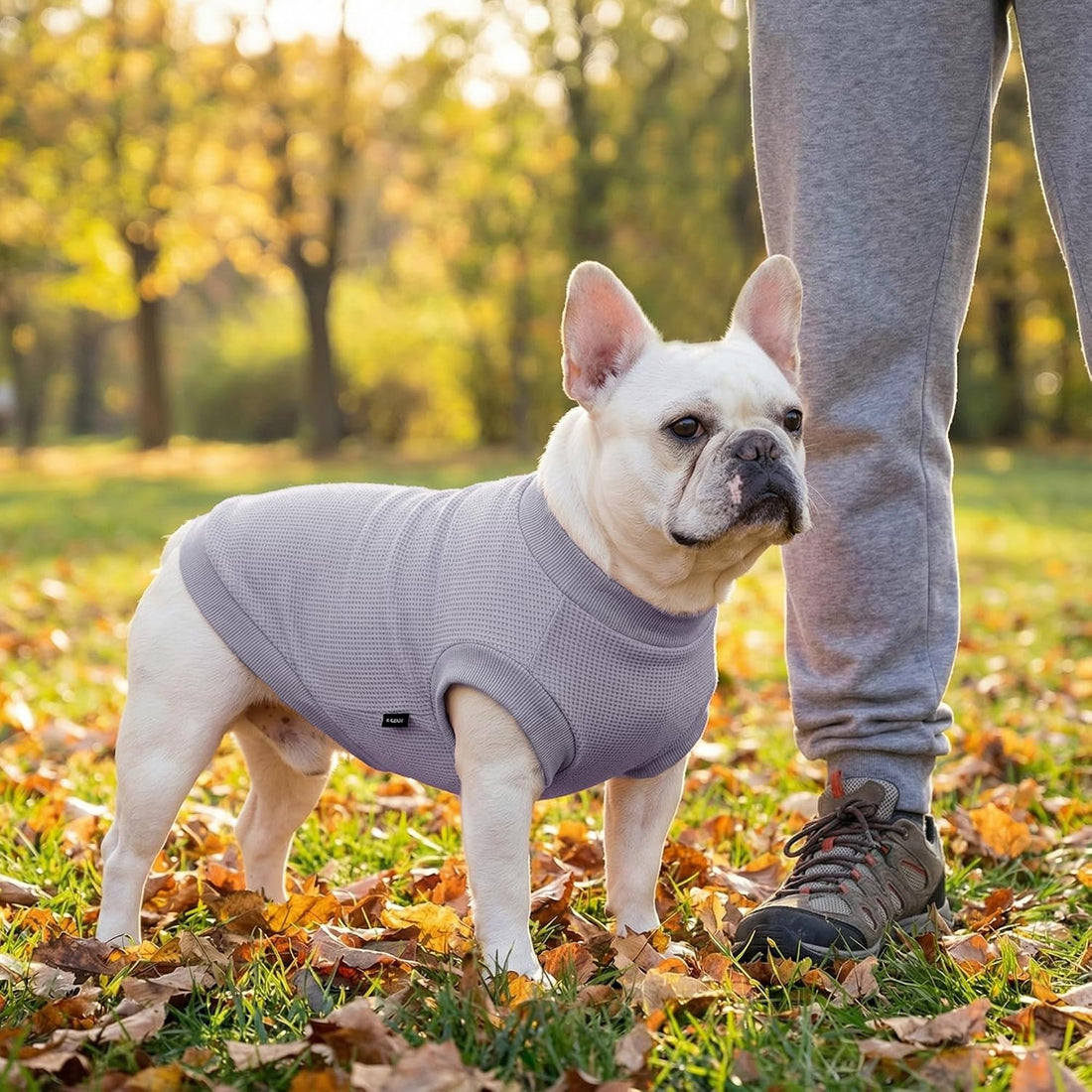 3 Pack Dog Shirt for Small Supplies Functional Waffle Dog Clothes