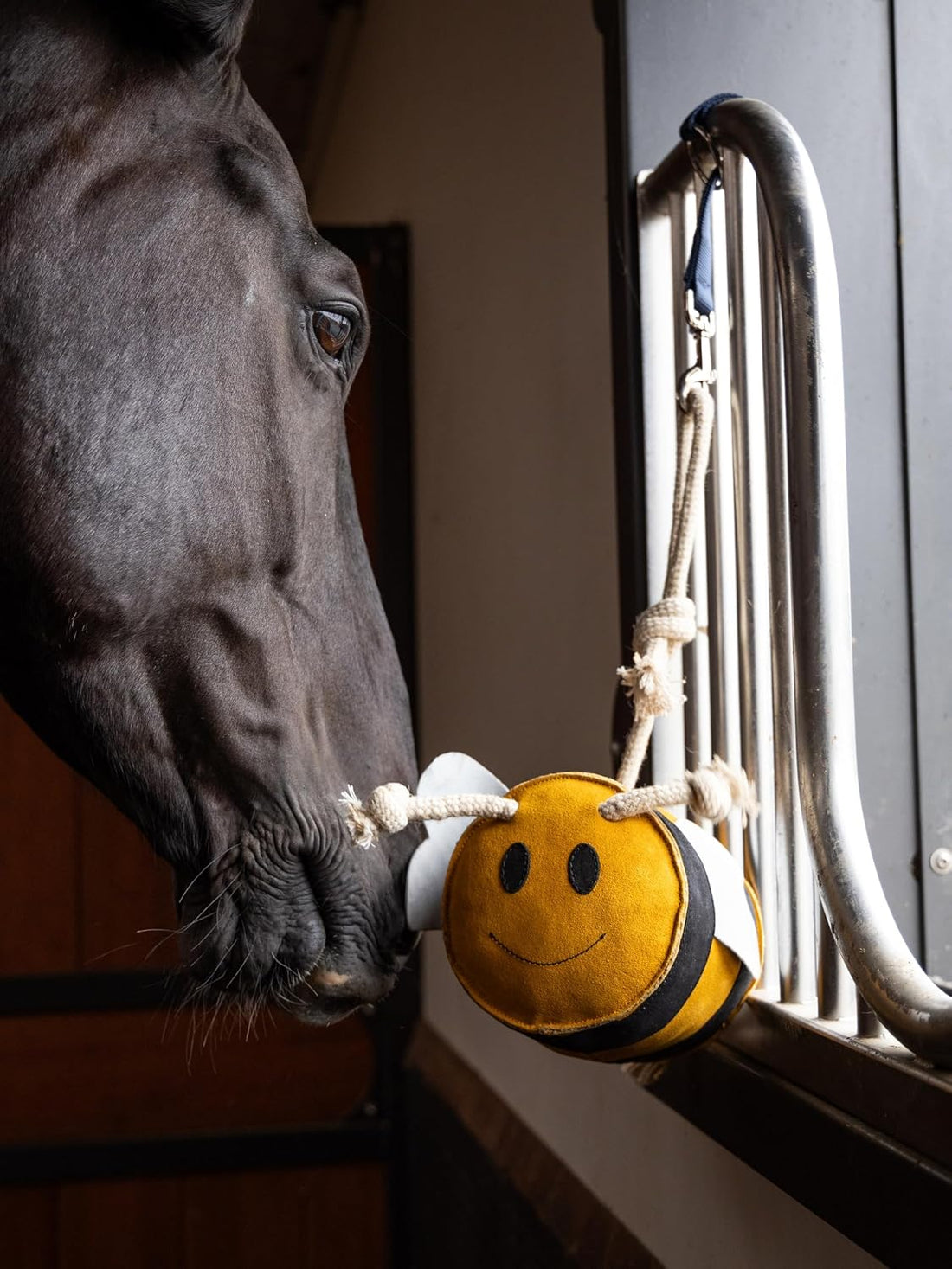 LeMieux Horse Toy - Stable Accessory
