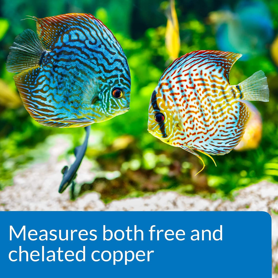 API Copper Test KIT 90-Test Aquarium Water Test Kit