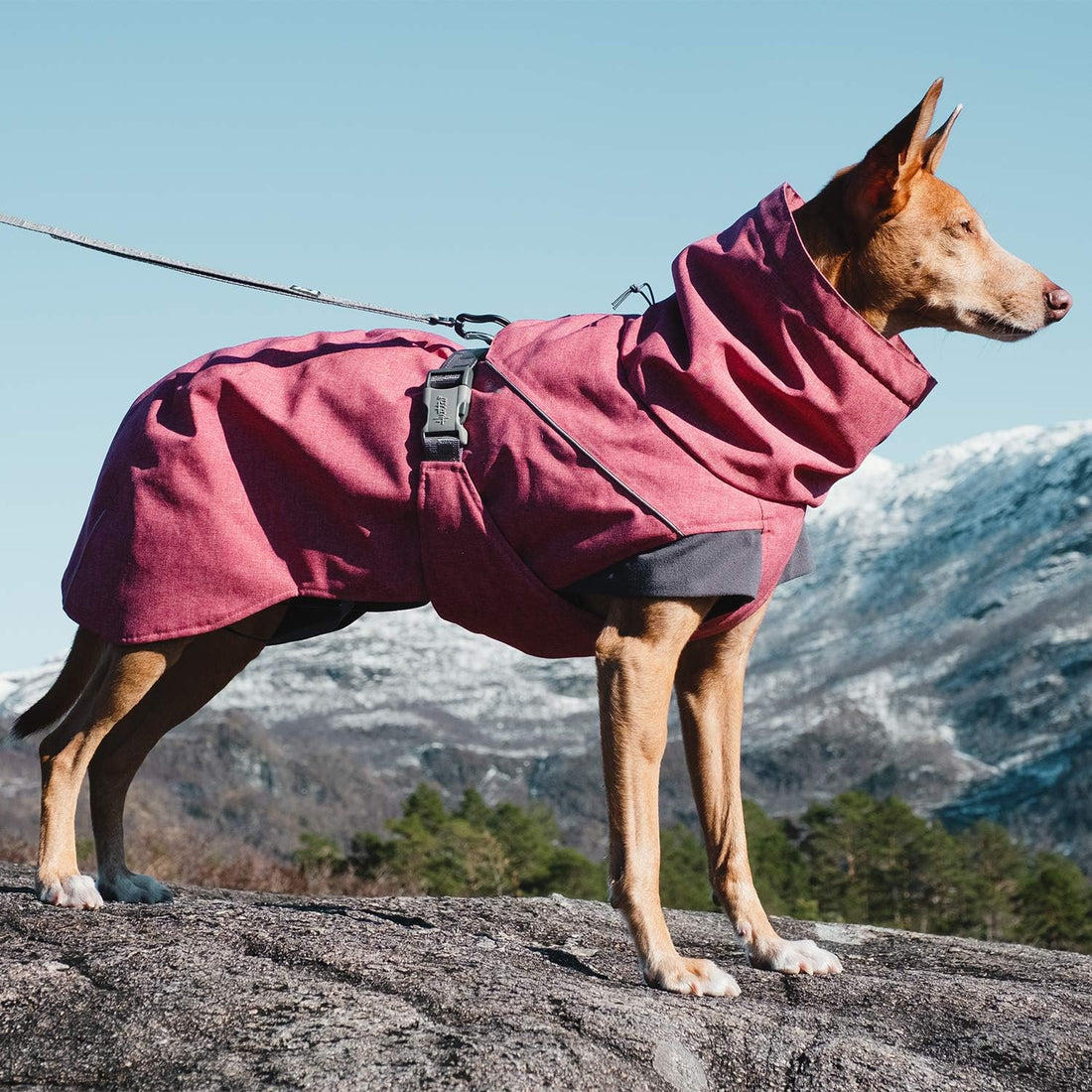 Hurtta Expedition Parka, Winter Dog Coat, Beetroot, 12 in