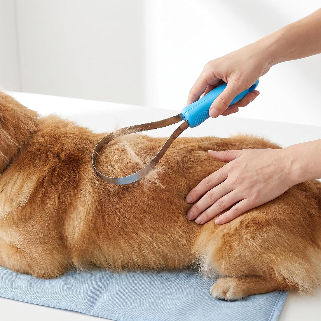 Dual‑Sided Grooming Blade for Dogs Horse Shedding Tool with Grip