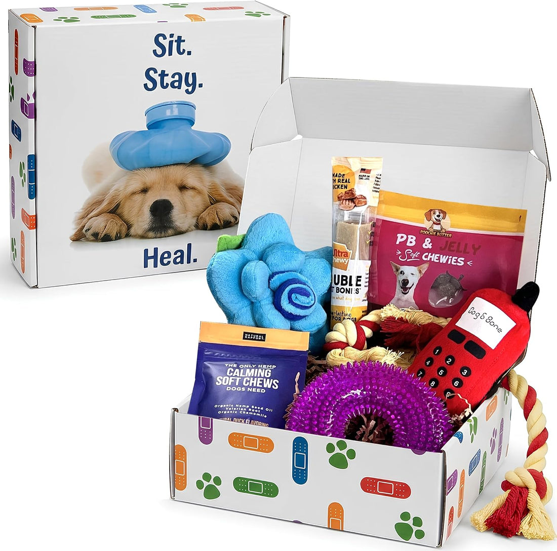 Get Well Soon Dog Gifts, Dog Care Package