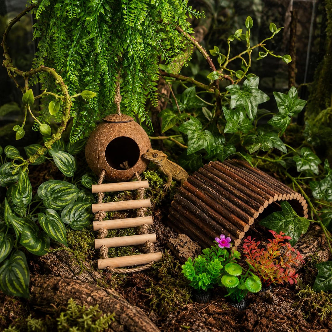 RUNANIA Crested Gecko Tank Accessories，Reptile Vines Plants