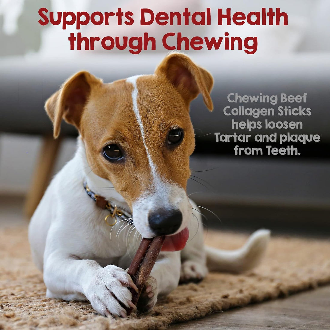 Riley's 12" Beef Collagen Sticks for Dogs - 100% Natural Beef - 5ct