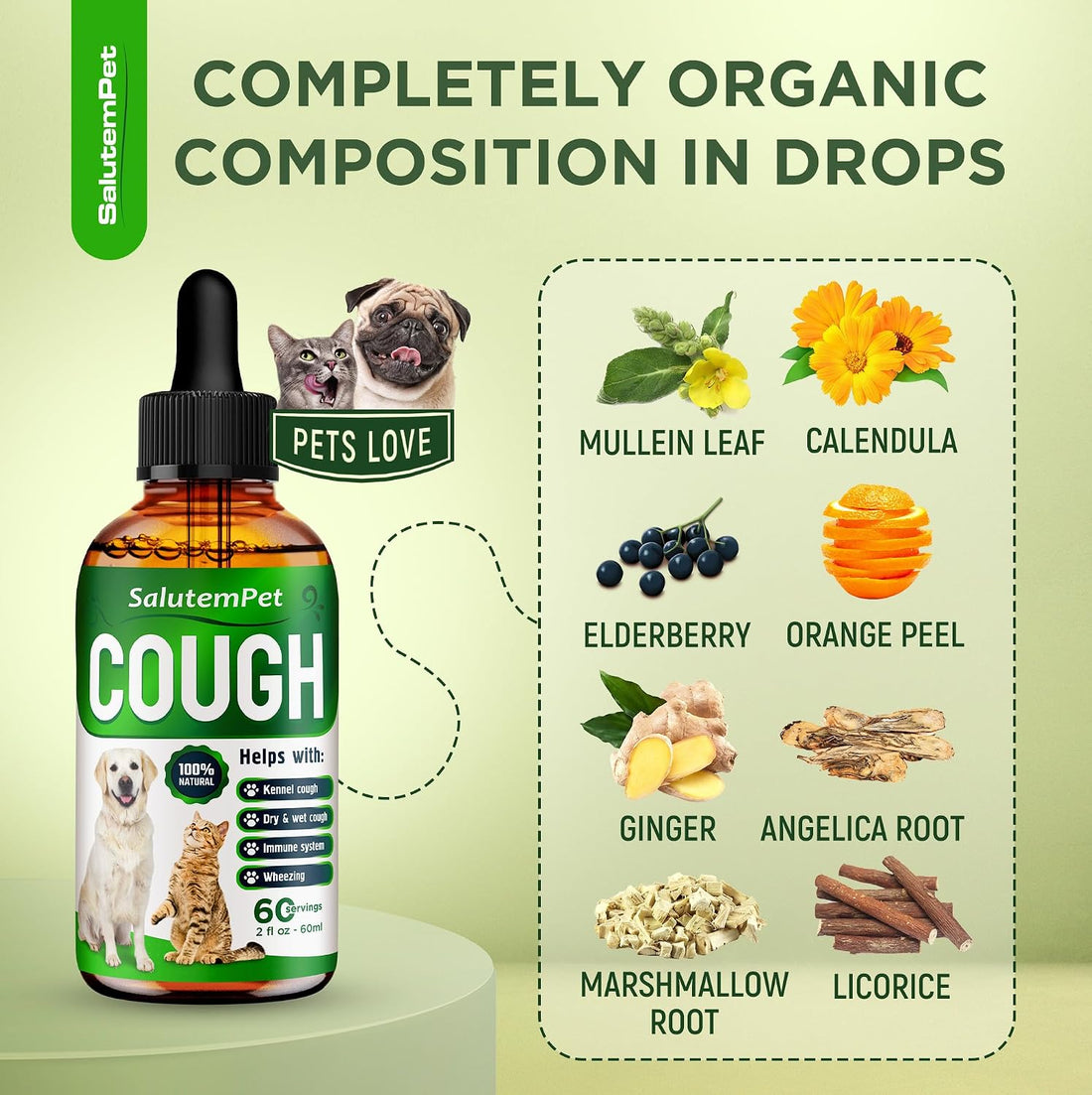 Kennel Cough Medicine for Dogs & Cats