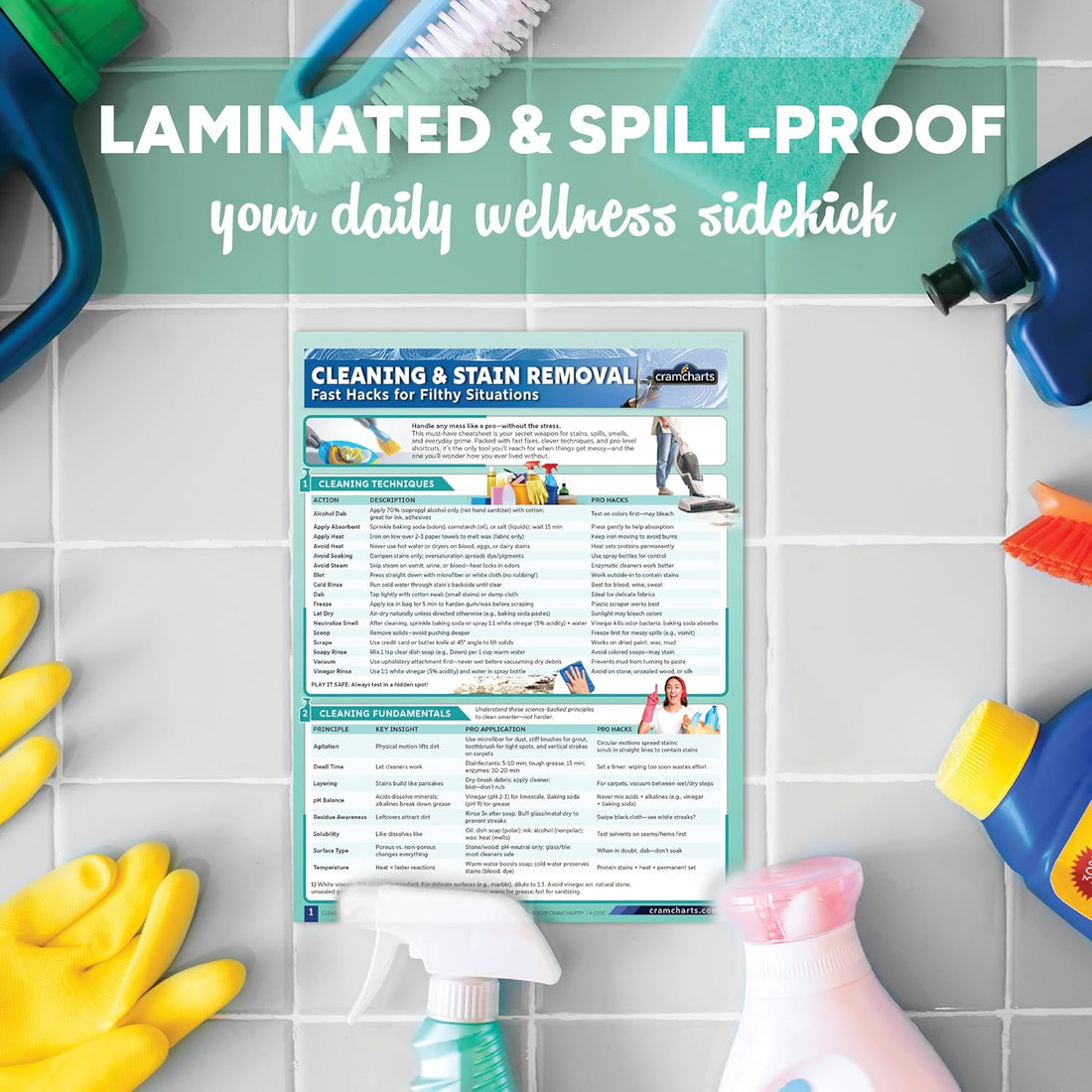 Cleaning & Stain Guide – Pet Odor Removal DIY Cleaner Recipes & Tips
