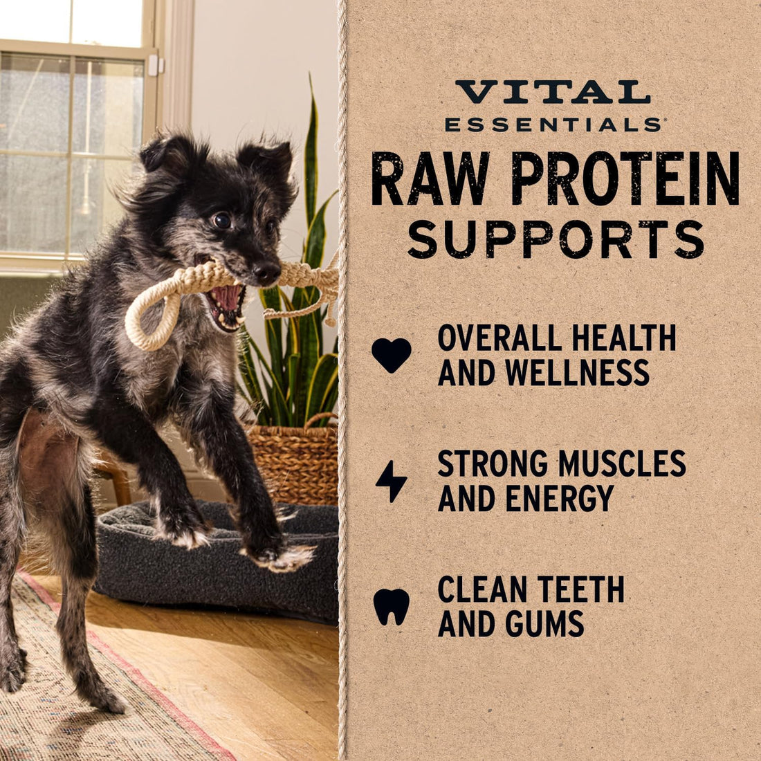 Vital Essentials Freeze Dried Raw Chicken Hearts Dog Treats