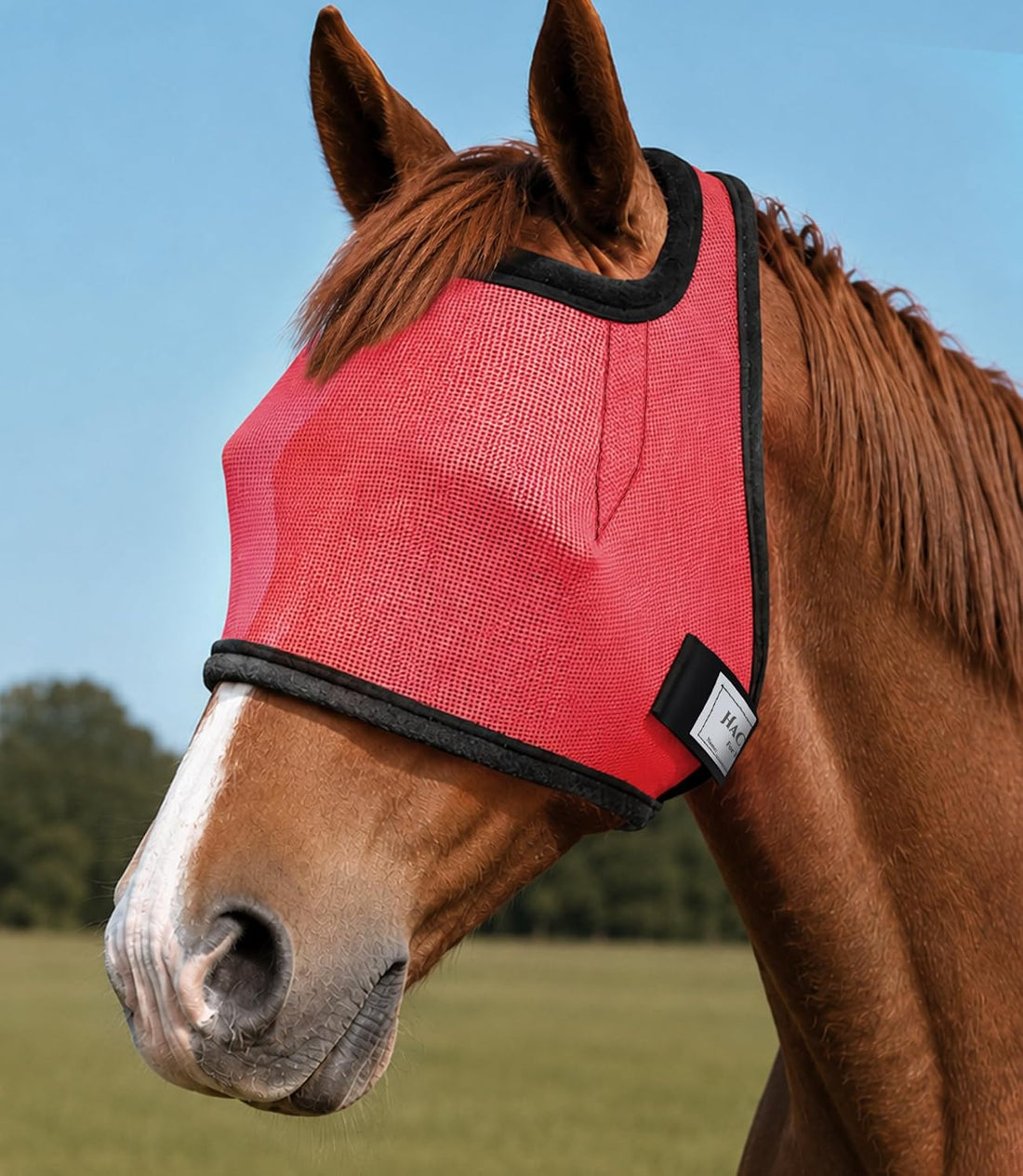 Fly Masks for Horses Without Ears, Horse Fly Mask