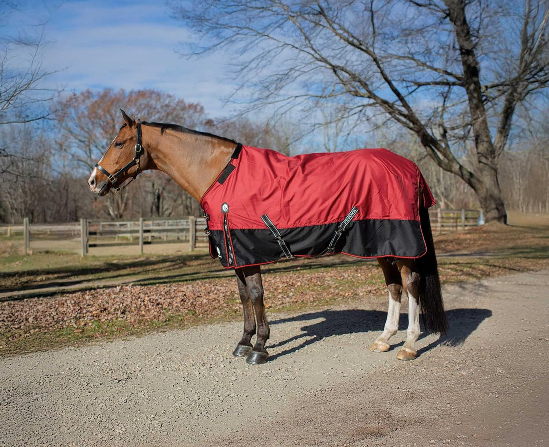 Equinavia Norse 300g Heavy Weight Horse Blanket Waterproof All