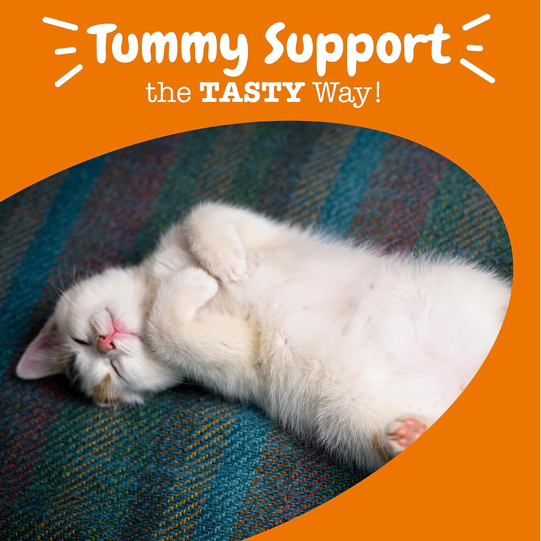 Zesty Paws Probiotic Bites for Cats