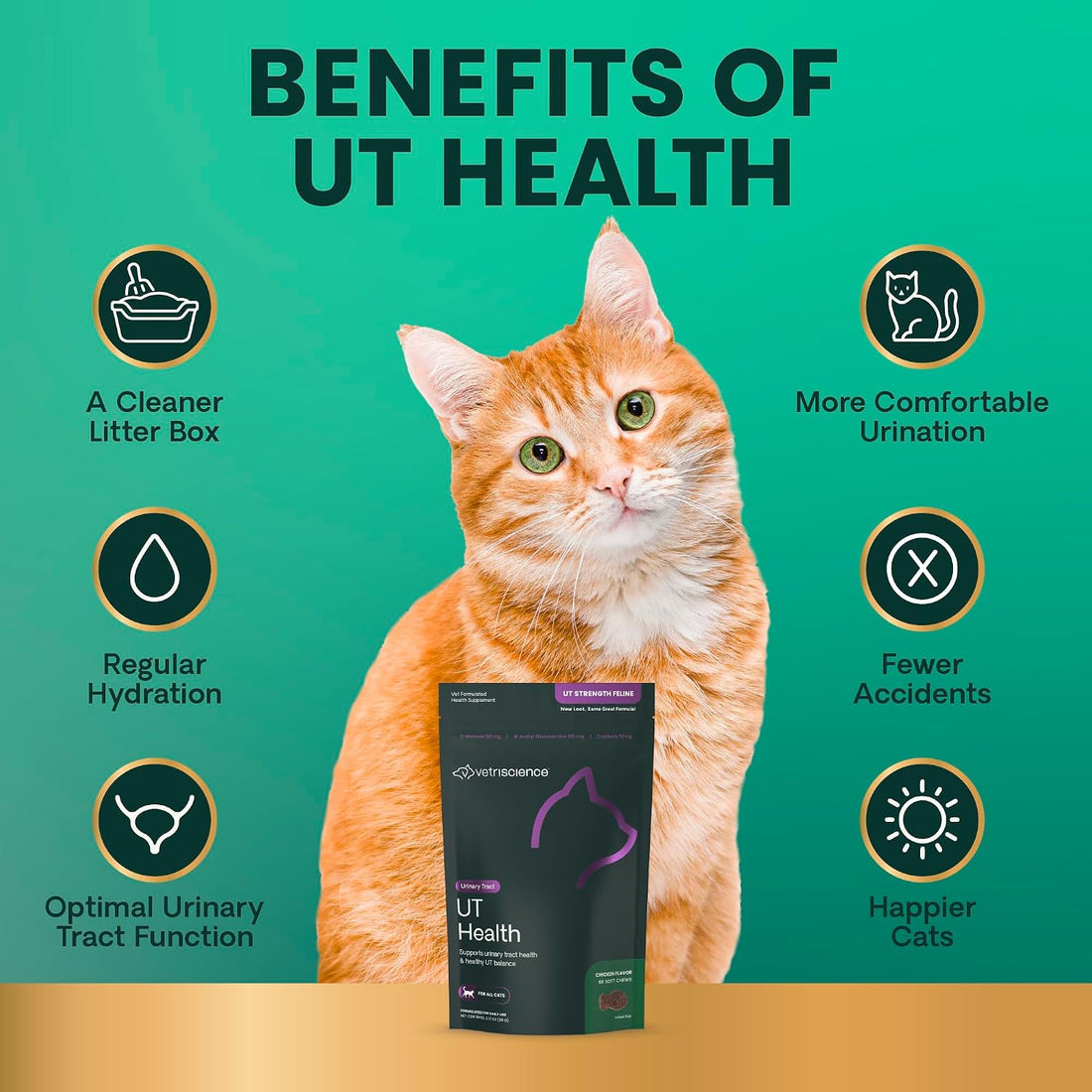 VetriScience UT Health Chews for Cats, Chicken