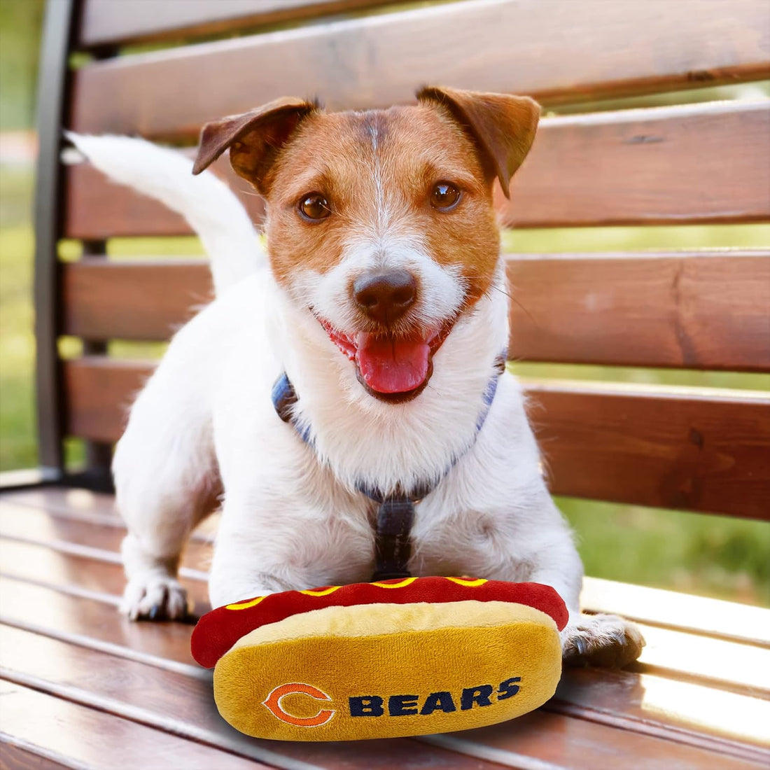 Pets First NFL Chicago Bears HOT Dog Plush Dog & CAT Squeak Toy