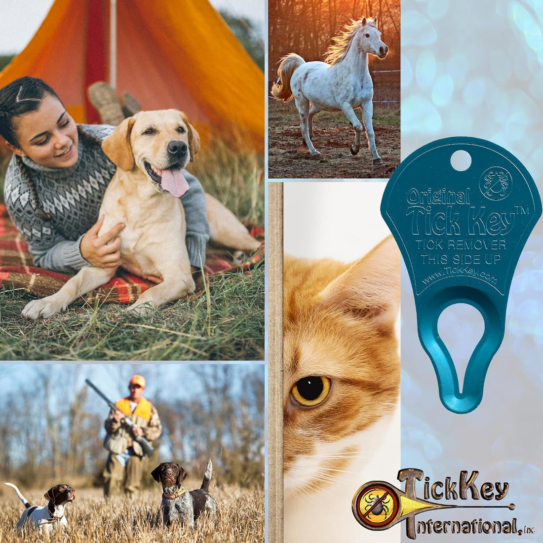 The Original Tick Key Tick Removal Device
