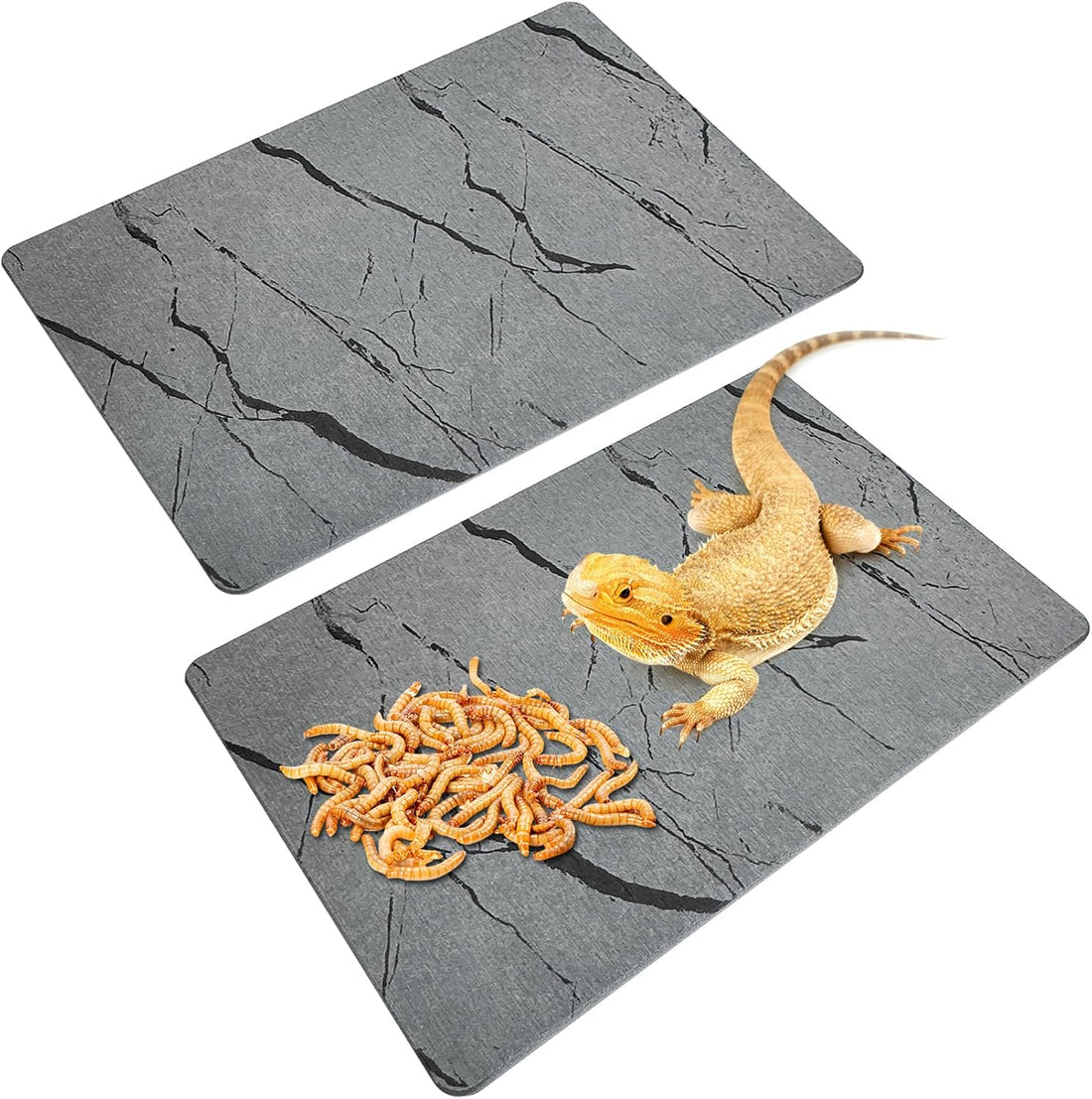 Diatomite Reptile Basking Platform Turtle Feeding Slate11.8x7.9