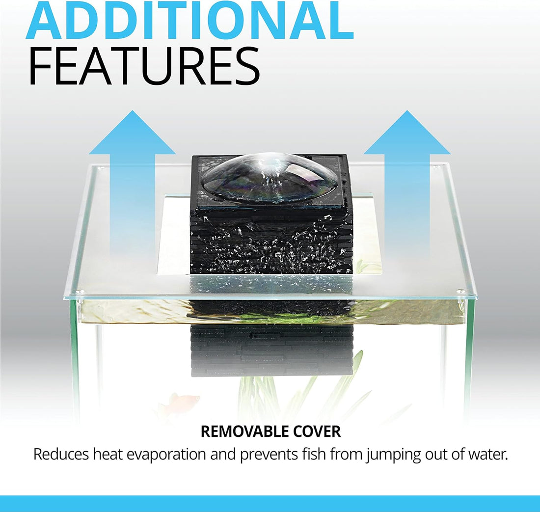 Fluval Chi II Series Aquarium Set, 5-Gallon