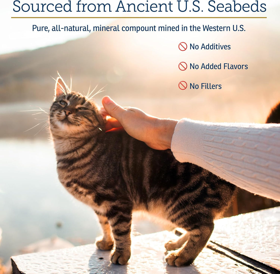 Rx Vitamins Feline Minerals - Taurine for Cat Heart Health