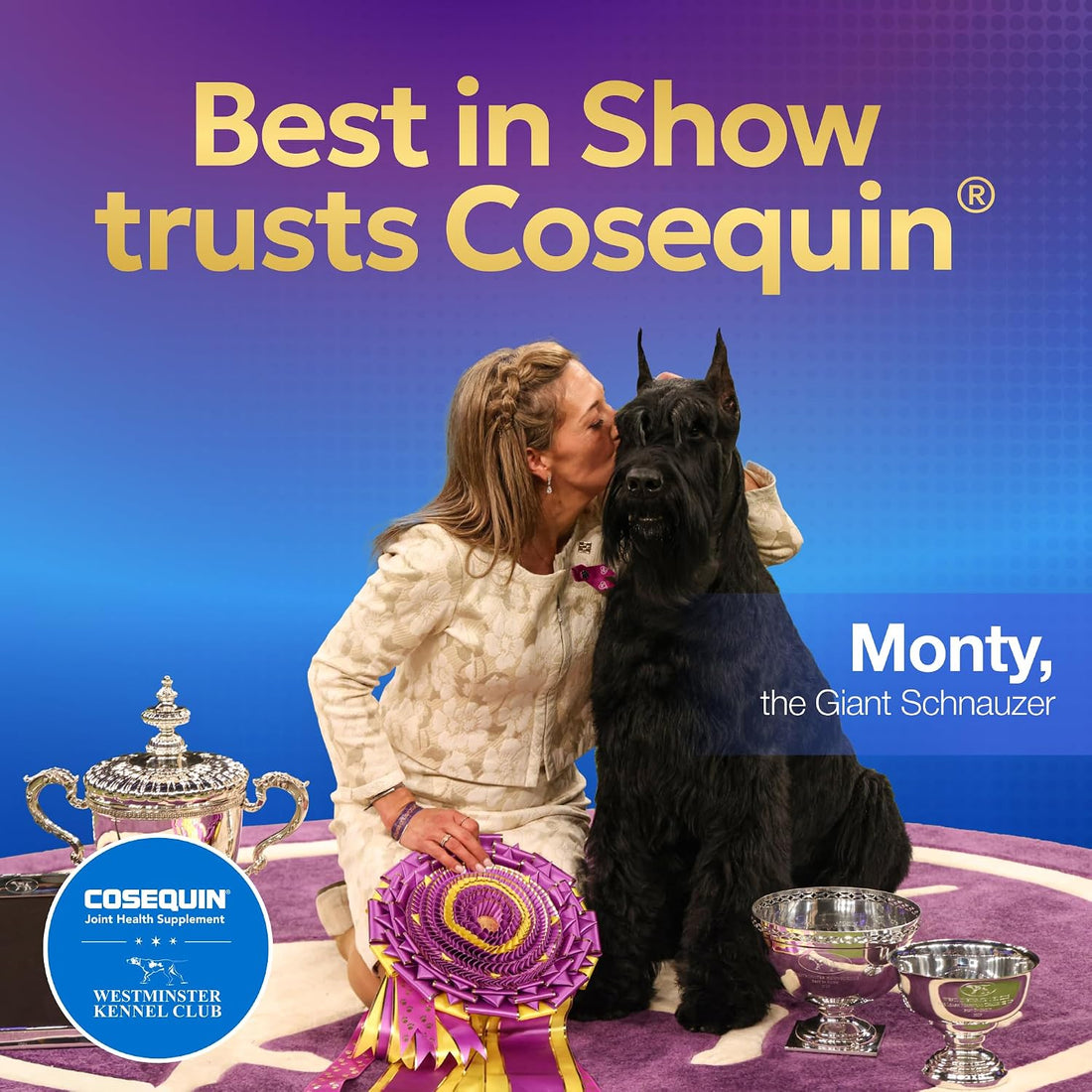 Nutramax Laboratories Cosequin DS Plus MSM Professional Line for Dogs