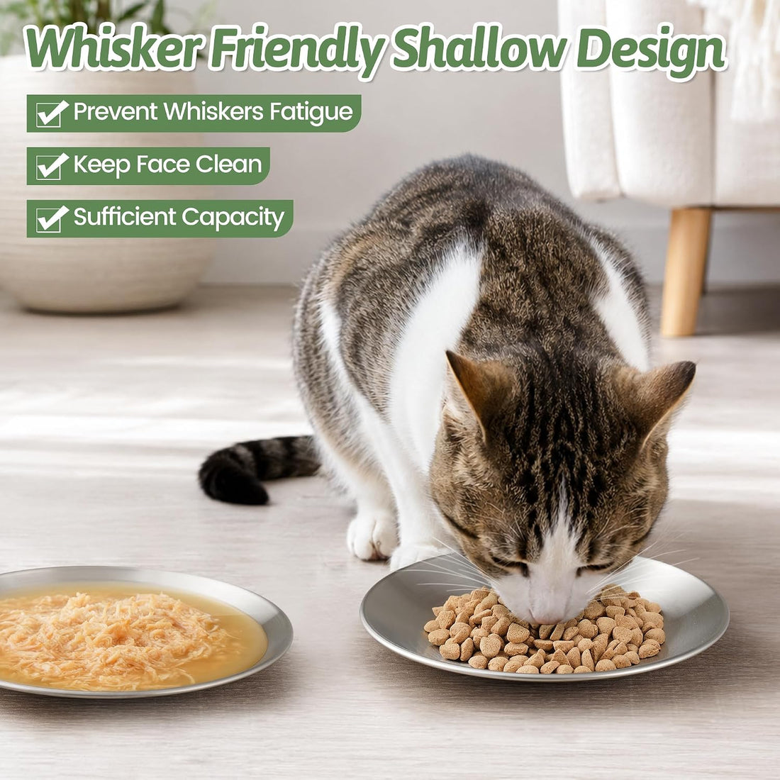 WROSWT 304 Stainless Steel Cat Bowls