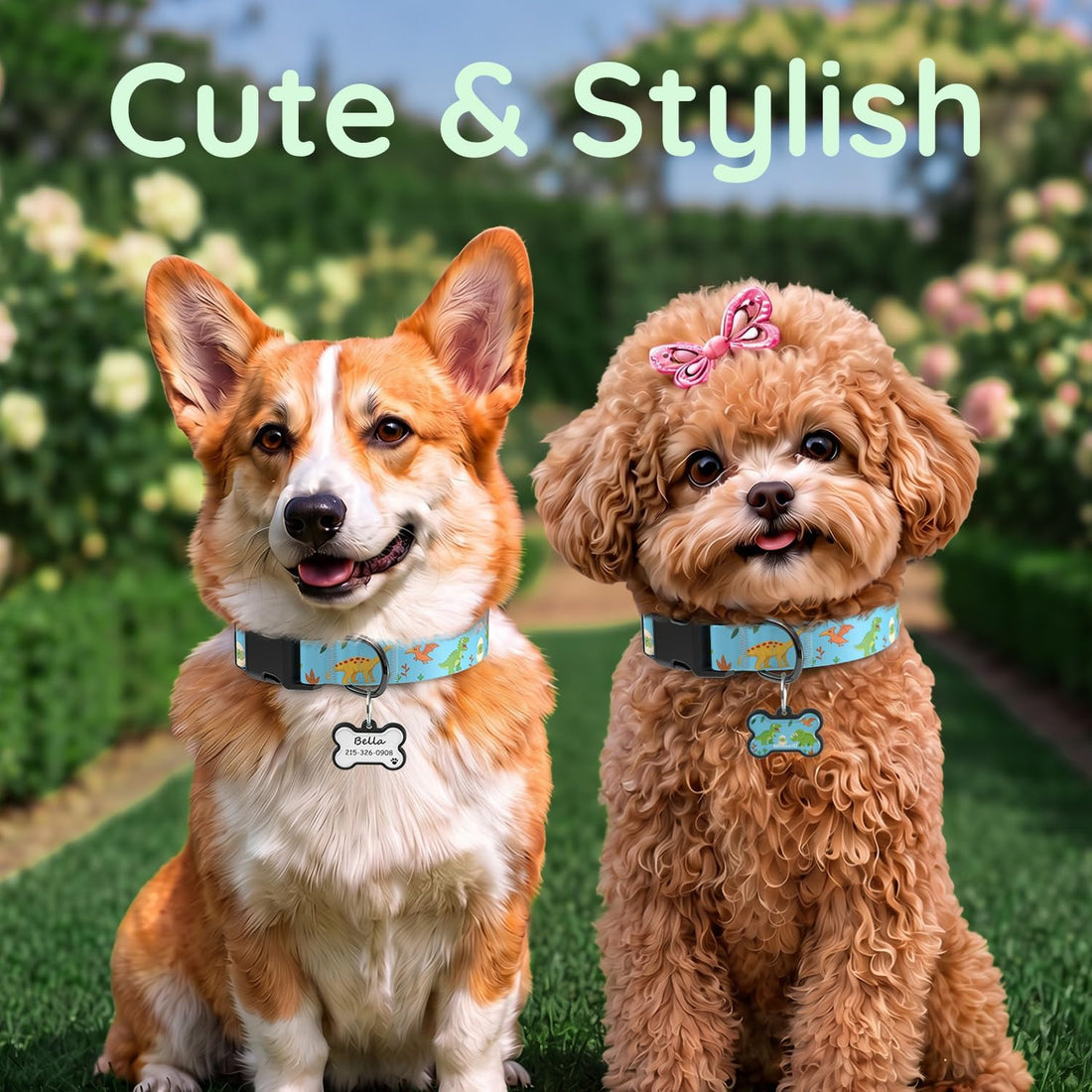 Personalized Dog Collar and Dog Tag Set,Comfortable for Small Medium