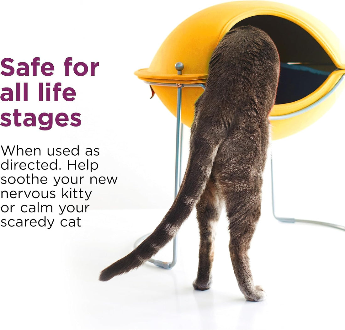 Comfort Zone Cat Calming Spray for Kittens & Cats, 59mL