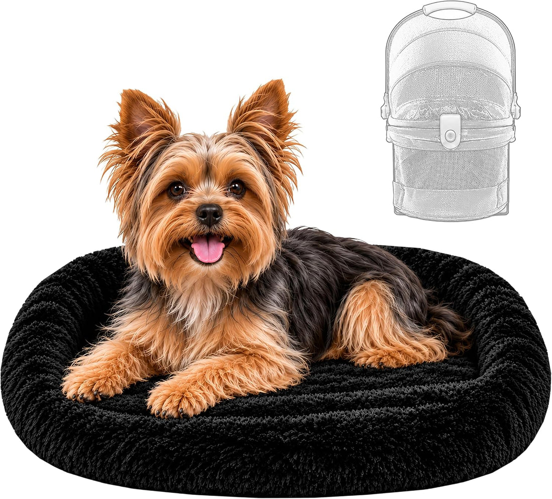 Pet Gear No-Zip View 360 Pet Carrier & Car Seat, 20"