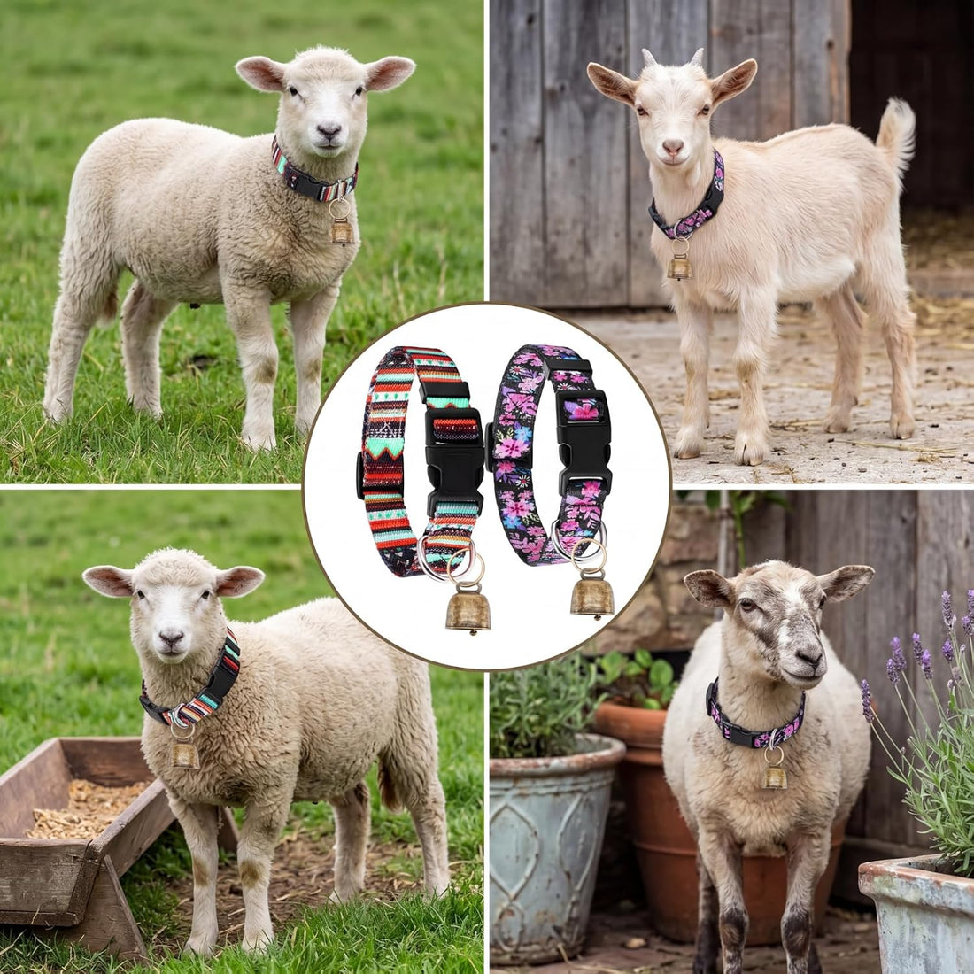 2 Pack Goat Collars with Bells